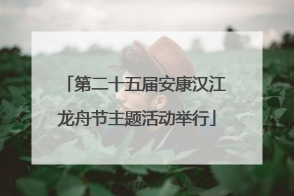 第二十五届安康汉江龙舟节主题活动举行
